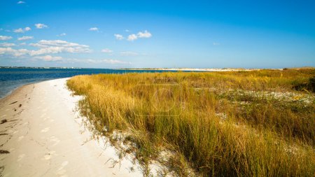 Photo for Beautiful Perdido Beach in Pensacola, Florida. - Royalty Free Image