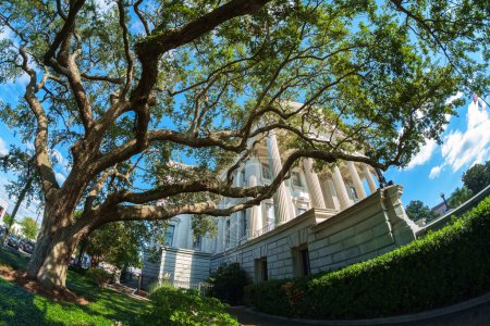 Foto de Fisheye vista de la histórica Casa de Aduanas de los Estados Unidos en el centro de Charleston, Carolina del Sur - Imagen libre de derechos