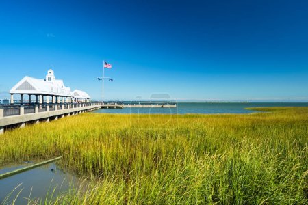 Foto de Vistas a la bahía de Waterfront Park en Charleston, Carolina del Sur - Imagen libre de derechos