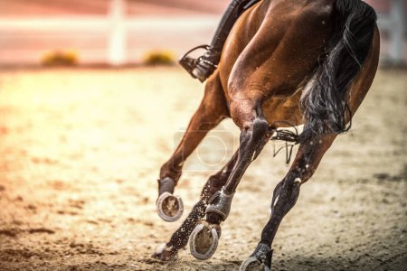 Vista trasera del caballo deportivo galopante dinámicamente durante la competencia de salto del espectáculo. Tema de deportes ecuestres.