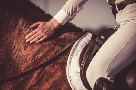 Female Horseback Rider Patting a Horse on the Neck. Recreational and Sport Horse Riding Theme.