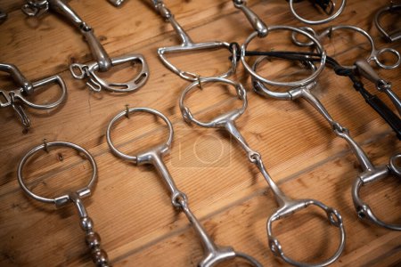 Photo for Closeup of Different Types of Metal Horse Bits Hanging on the Wall in Professional Sport Stable Tack Room. Equestrian Equipment Theme. - Royalty Free Image
