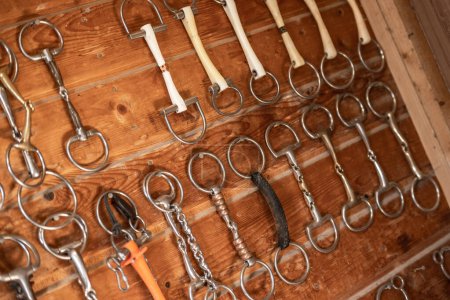 Gran selección de trozos de metal y caucho para caballos bien organizados en ganchos en la pared de la sala Tack en el granero deportivo. Tema Equipamiento Ecuestre.