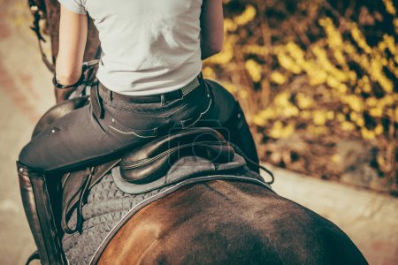 Blick von hinten auf Reiterin, die im Sattel auf voll ausgestattetem braunen Pferd sitzt. Nahaufnahme von Equipment für den Reitsport.