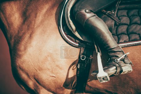 Photo for Closeup of Horse Rider's Leg in Metal Stirrup During Training. Horseback Riding Details. Equestrian Equipment. - Royalty Free Image