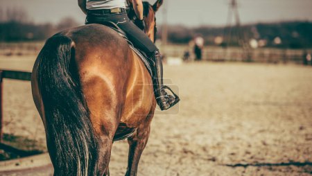 Photo for Rear View of Horse and Rider Walking Towards Outdoor Sand Riding Arena for Their Horseback Riding Training. Equestrian Theme. - Royalty Free Image