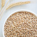 Wheat groats in a white bowl with three ears of wheat on a light background. Rustic style. Concept of healthy food. Vertical orientation. Top view