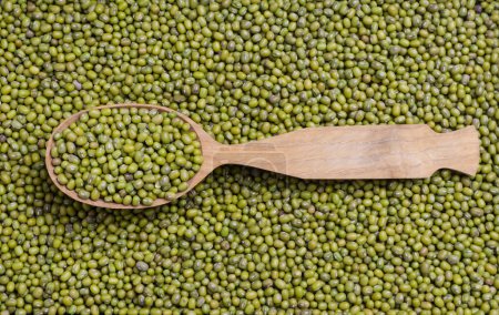 Green mung beans in a large spoon on a background of beans. Organic legumes. Vegan and vegetarian food. The concept of healthy eating. Horizontal orientation. Top view. Selective focus.