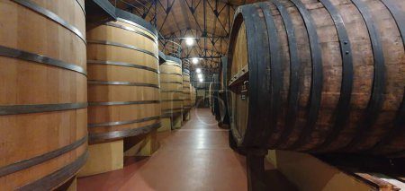 Téléchargez les photos : Haro, La Rioja, Espagne, 27 avril 2023 : Vues captivantes de l'intérieur de la cave à vin de Rioja - en image libre de droit