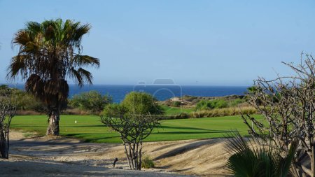 Foto de Campo de golf en San Jose del Cabo, Baja California Sur, México - Imagen libre de derechos