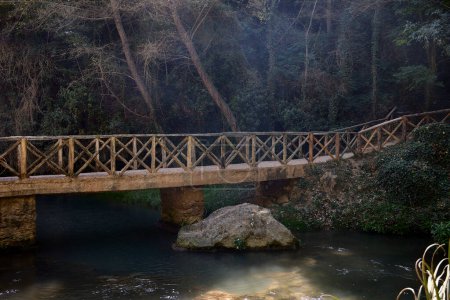 Téléchargez les photos : Pont en bois sur une rivière avec cascade dans une forêt luxuriante du nord-ouest de l'Espagne. L'hiver et l'humidité donnent une couleur verte très intense
. - en image libre de droit