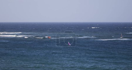 windsurfistas