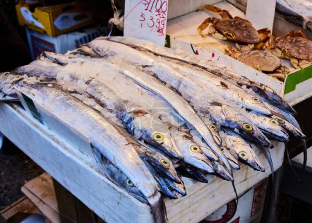 Barracuda. Fish stall in New York's Chinatown. The small stalls have fresh seafood and are very popular among the ethnic Chinese community.