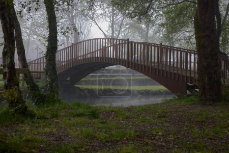 Brücke in einem Park. Landschaft eines Waldes mit einer gewölbten Holzbrücke, einem kleinen Fluss, Felsen und sehr üppiger Vegetation