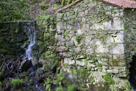 Flussmühle. Alte Steinmühle im Bach eines grünen Waldes in Nordspanien
