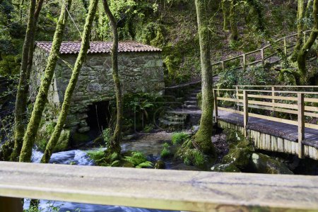 Flussmühle. Alte Steinmühle im Bach eines grünen Waldes in Nordspanien