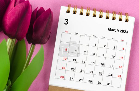 März 2023 Monatlicher Schreibtischkalender für 2023 Jahr und rote Tulpe auf rosa Hintergrund.