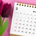 March 2023 Monthly desk calendar for 2023 year and red tulip on pink background.