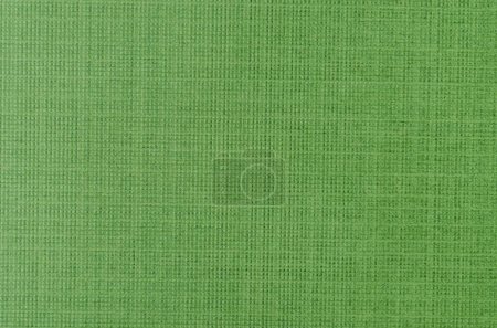 Green textured cardboard as background.