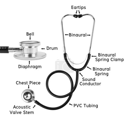 Photo for Anatomy of a Stethoscope Medical or components of a Stethoscope Medical isolated on white background, Saved clipping path. - Royalty Free Image