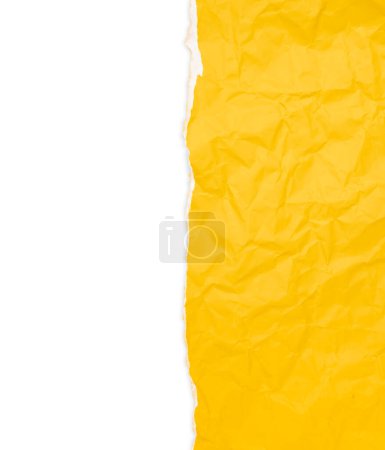 Photo for Vertical Background of torn yellow paper on white background. Save clipping path. - Royalty Free Image