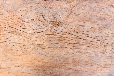 Rohes Naturholzbrett. Kratzer, Risse und Äste sind stark ausgeprägt. Ein horizontal über das Bild verlaufendes Holzmasermuster.