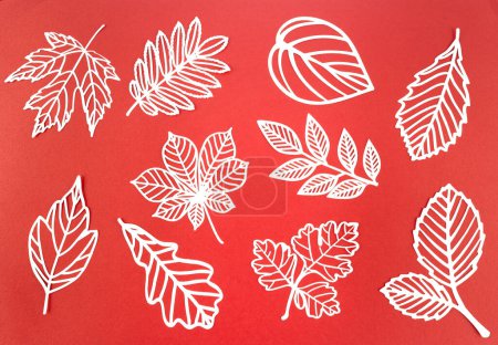 White paper cut plants leaves on red color background