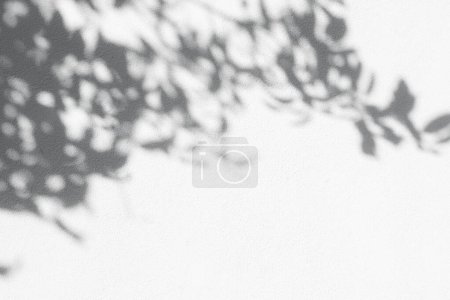 Photo for Natural shadow overlay on white colored grunge wall concrete texture background. Textures Light reflection from the window. - Royalty Free Image