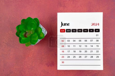 Calendar page for June 2024 and houseplant on retro background, planning concept.