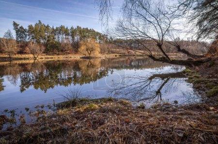 Sonniger Frühlingstag am ländlichen Teich mit Weiden, die unter blauem Himmel um ihn herum wachsen - Tschechien, Europa