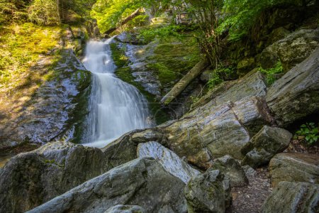 Long exposure of stream waterfalls in summer forest - Resov waterfalls, Nizky Jesenik mountain range, Czech Republic, Europe