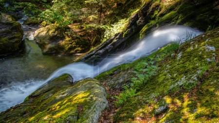 Cascadas de río en el arroyo forestal en el soleado bosque de primavera - Cascadas de Resovske, cordillera de Nizky Jesenik, República Checa, Europa