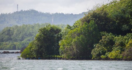 Madol Duwa lush green islands landscape