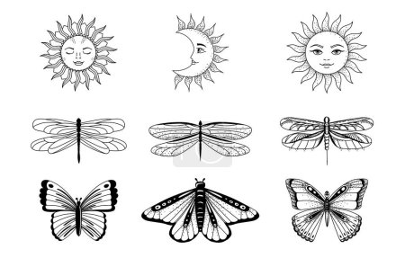 Téléchargez les illustrations : Boho vector collection of magic line art. Dragonfly, butterfly, moon and sun. Vector illustration. - en licence libre de droit