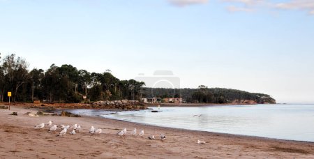 Beach at the river mound of the Clyde River in Batemans Bay, New South Wales, Australia.