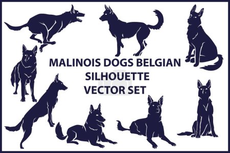 Ilustración de Malinosi Perros Siluetas Belgas Set de Vectores - Imagen libre de derechos