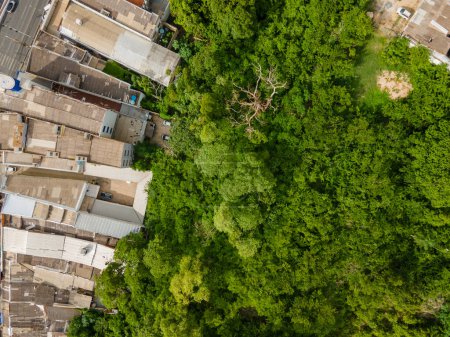Aerial top down of roofs and tropical trees in park in summer in Cuiaba Mato Grosso Brazil