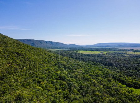 Aerial treetop view of Chapada in Bom Jardim during summer in Nobres Mato Grosso Brazil