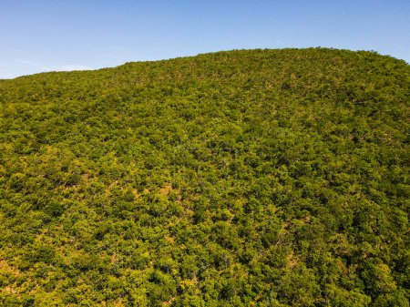 Luftaufnahme des Waldes auf dem Chapada-Hügel im Sommer in Nobres Bom Jardim Mato Grosso Brasilien
