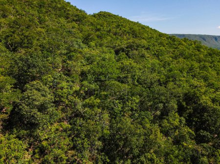 Aerial treetop view of forest on Chapada hill during summer in Nobres Bom Jardim Mato Grosso Brazil
