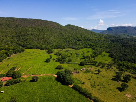 Aerial landscape of rainforest in Bom Jardim during summer in Nobres countryside in Mato Grosso Brazil