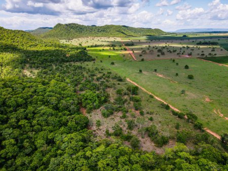 Aerial Landschaft von Ackerland in Bom Jardim im Sommer in Nobres Landschaft in Mato Grosso Brasilien