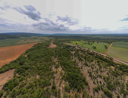 Aerial landscape of farmland in Bom Jardim during summer in Nobres countryside in Mato Grosso Brazil