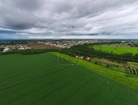 Paysage Aérien Du Champ Pendant L'été à Tangara da Serra Dans Le Mato Grosso Brasil