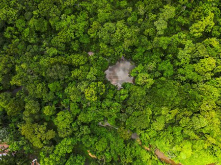 Luftaufnahme von Wald und Fluss im Parque Mae Bonafacia Park in Cuiaba Mato Grosso Brasilien