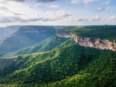 Téléchargez les photos : Paysage Aérien du Parc National Chapada dos Guimaraes pendant l'été au Mato Grosso Brésil - en image libre de droit