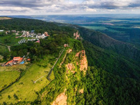 Descente aérienne de la forêt au parc national Chapada dos Guimaraes pendant l'été au Mato Grosso Brésil