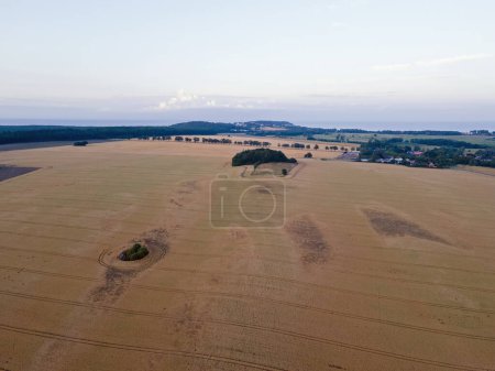 Aerial landscape of rapeseed canola oil field on the Island of Rugen in Mecklenberg Vorpommern Germany