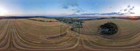 Aerial panorama of rapeseed canola oil field on the Island of Rugen in Mecklenberg Vorpommern Germany