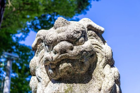 Komainu, oder Löwenhund (öffentliche Kunst) im Hachiman-Schrein, Japan. Komainu sind die Hüter von shintoistischen Schreinen und manchmal Tempeln, meist zu zweit, einer mit offenem Mund und einer mit geschlossenem.